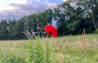 Apartament Jerzyn - Foto 50