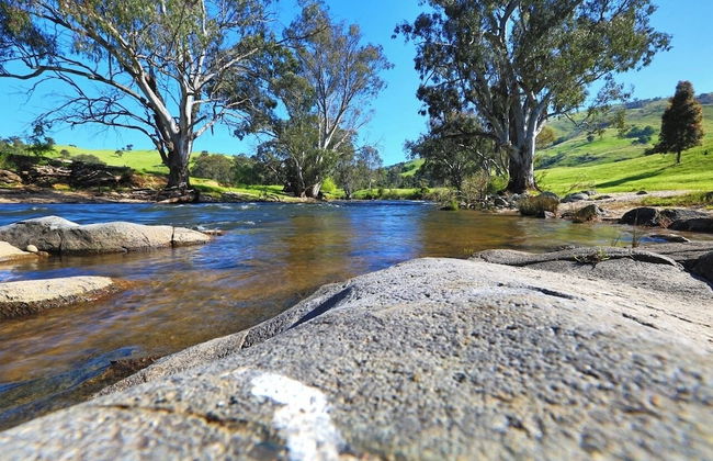 Elm Cottage - Foto 31