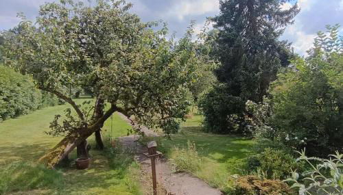 Siedlungshaus im Grünen - Foto 2