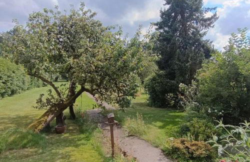 Siedlungshaus im Grünen - Foto 2