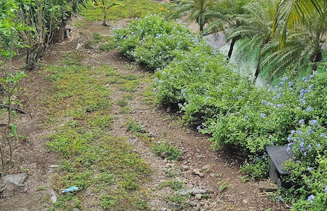 Aparthotel in Le Diamant with swimming pool and garden - Photo 21