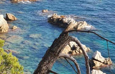 Apartment with garden and sea view Santa Cristina Blanes - Foto 64