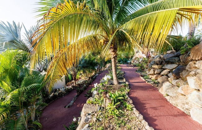 MyALL Tortola - Foto 71