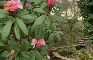 Hollyhocks Holiday Home- 2 bedroomed ground floor apartment sleeps 5 - Foto 33