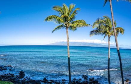 Noelani 307 by Coldwell Banker Island Vacations - Foto 4