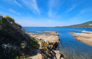 Bella Stella - Foto 4