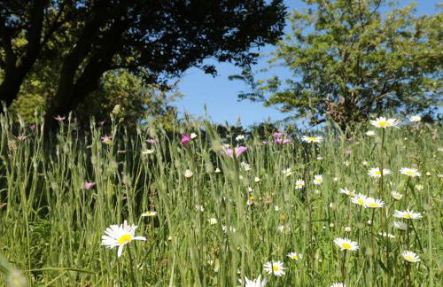 Willow Cottage - Foto 45