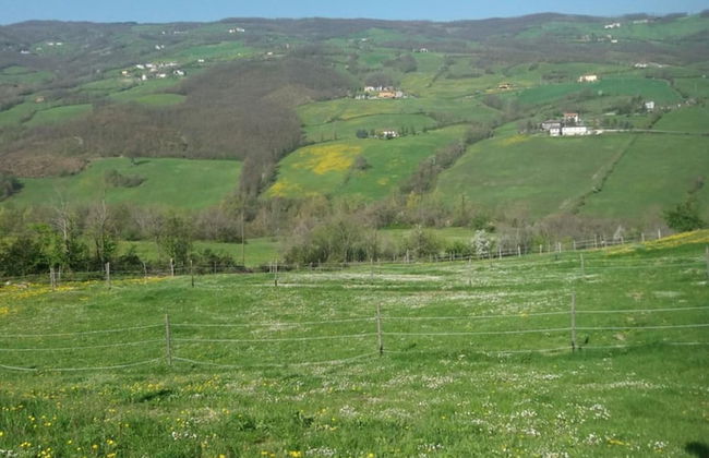 Fattoria Ca' di Fatino - Foto 26