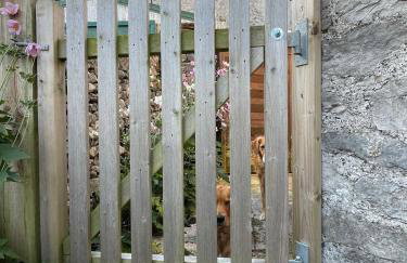 Muddy Paws Cottages - The Nook - Photo 79