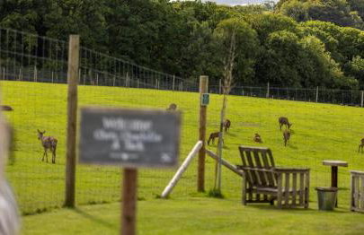 Luxury Safari Lodge-Sleeps 4 6-Deer Park-Dogs Ok - Foto 34