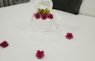 O Salgueiro - Foto 34