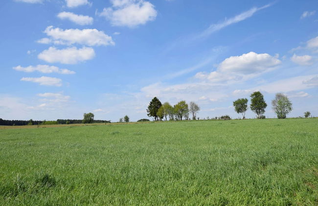 Villa in Houffalize With Infrared Sauna - Photo 46