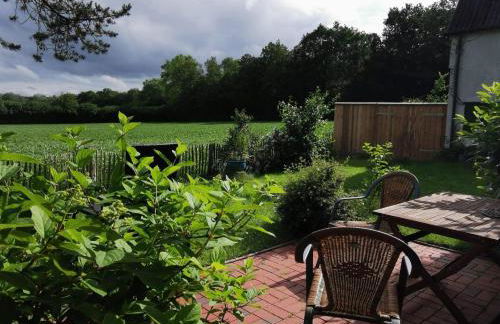 Ferienwohnung Brodersen - Foto 8