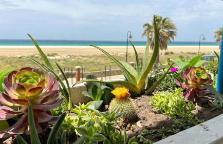Tarifa Cozy House - Beachfront, Stylish Deco - Photo 16