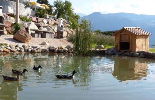 Residence Liesy - Foto 13