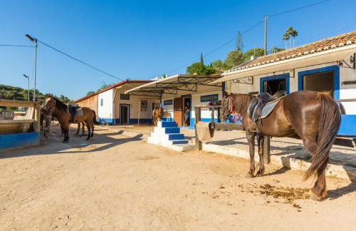 Casa Bela Vista - Fantastic sea view - Foto 38