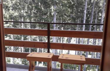 Abetone - Parco dei Daini - Photo 7