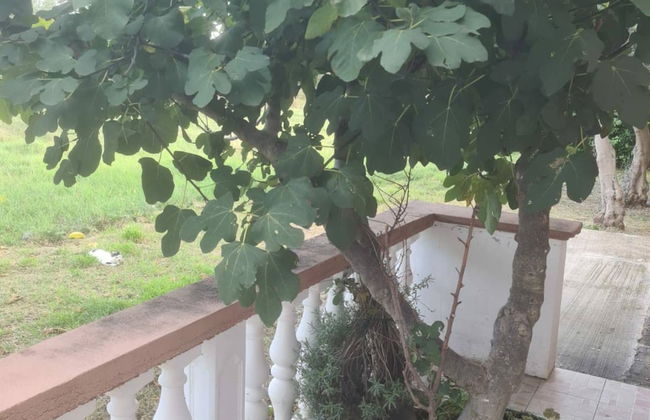 Apartments Rubbi - Foto 1