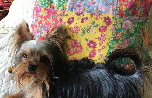 São Mateus - Studio in the best location in the neighborhood - Foto 7