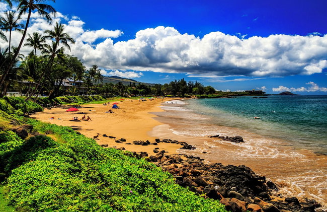 Beautiful 1 Bedroom Condo with Ocean Views | Oceanfront - Foto 120