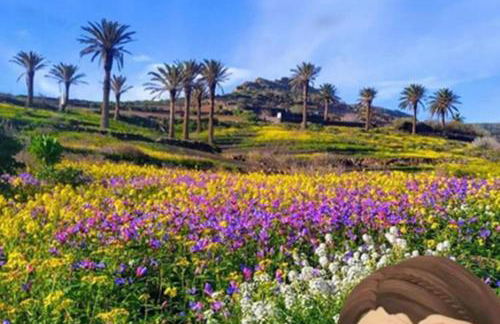 CASA DIANA - Foto 36