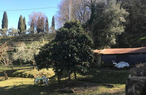 Serenità nella Natura - Foto 8