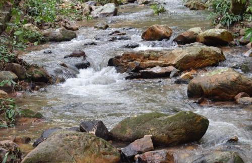 Casa para até 12 pessoas com cachoeiras perto de Brasília - Photo 44