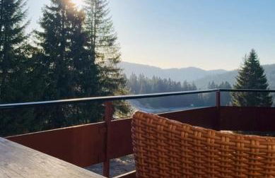 Mitten auf dem Feldberg Panorama Apartment Bergglück - Foto 16