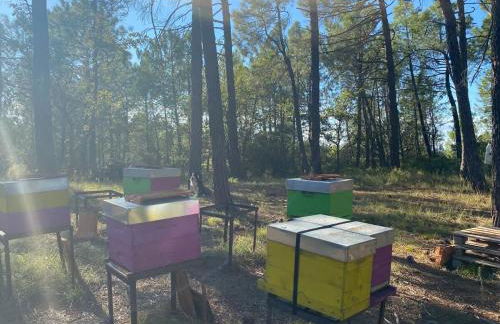 Tiny-House Grand Confort - Salle de bain italienne - Lit King - 10 min A7 - Foto 48