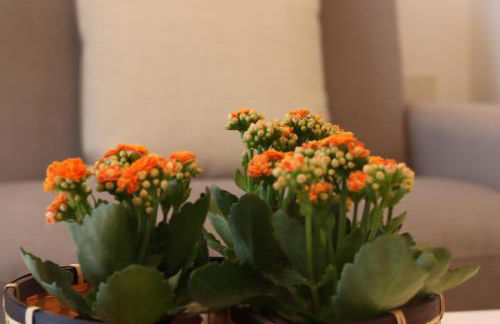 Appartamento Signorile IUN S0575 - Foto 13