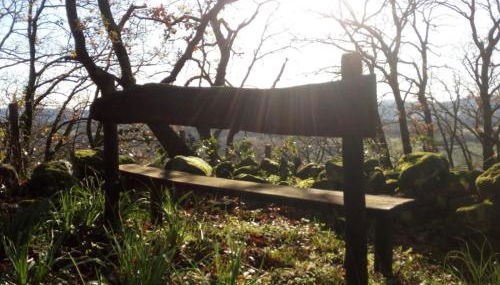 Azienda Agricola Biologica La Cardellina - Foto 5