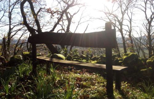 Azienda Agricola Biologica La Cardellina - Foto 5