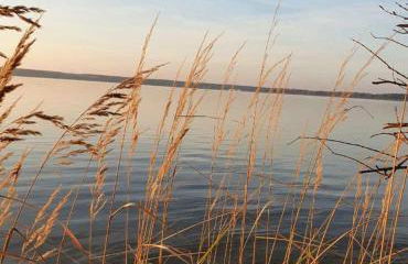 Pension am Reethaus - Foto 17