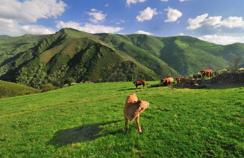 Casa Corral - Casas de Aldea - Foto 47