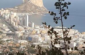 Apartamento Playa y Sol - Foto 1