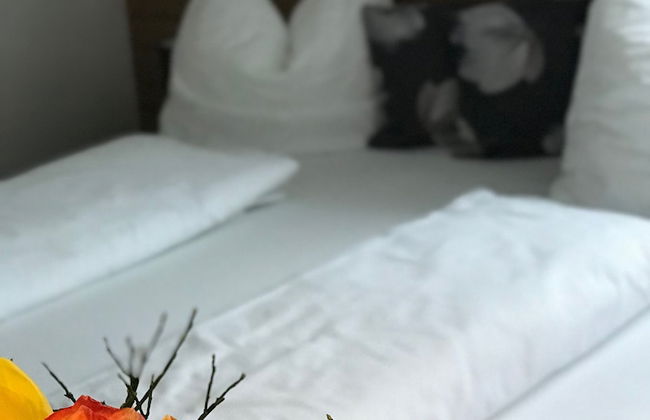 Art Apart Nomay - Foto 4