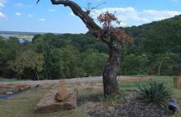 Twisted Tree with Arkansas River Views and Hot Tub - Foto 56