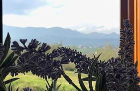 oasi macerina - Foto 14