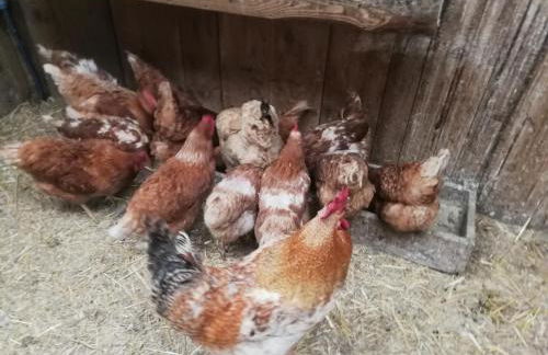 Agriturismo Alle Baite - Foto 78