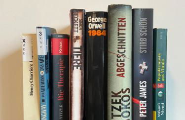 Traumhafte 115 qm Ferienwohnung am Steinhuder Meer, Ruhig, Komfortabel, Loggia, Parkplatz, WiFi - Foto 30