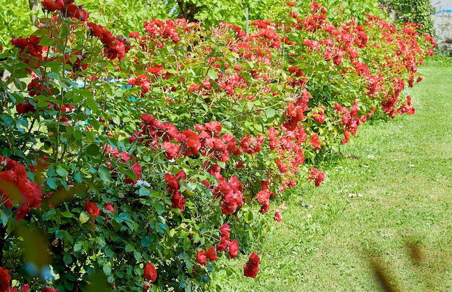 Palazzo Dei Laghi by Elite Villas - Photo 45