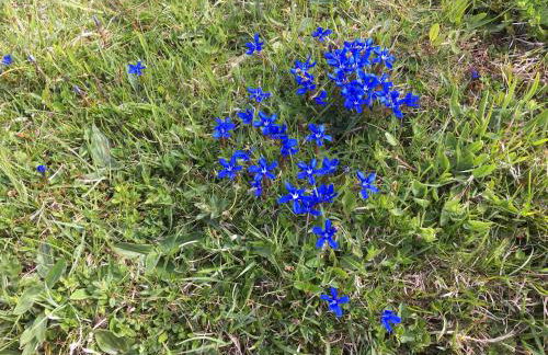 Landhaus Renata - Wendelstein - Foto 70