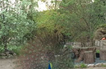 Converted Stone Barn -20 Acres - Farm Animals! - Photo 40