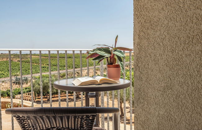 Casale Gorghi Tondi House E Vinyard - Photo 47