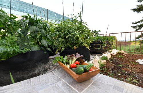 Palomino house - Foto 63