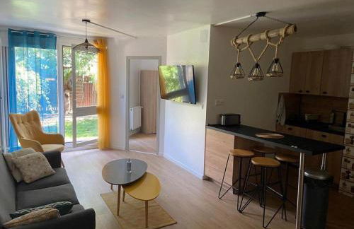 Location appartement meublé 1 pièce - Foto 4