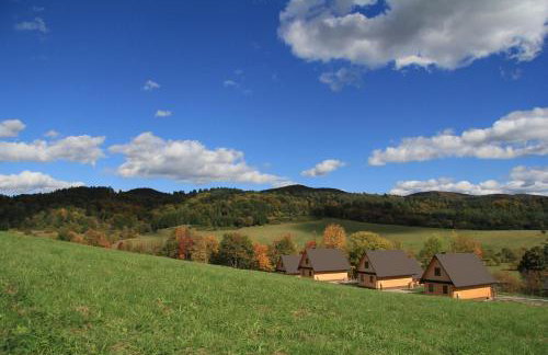Maniówka - pokoje i domki w Bieszczadach - Foto 20