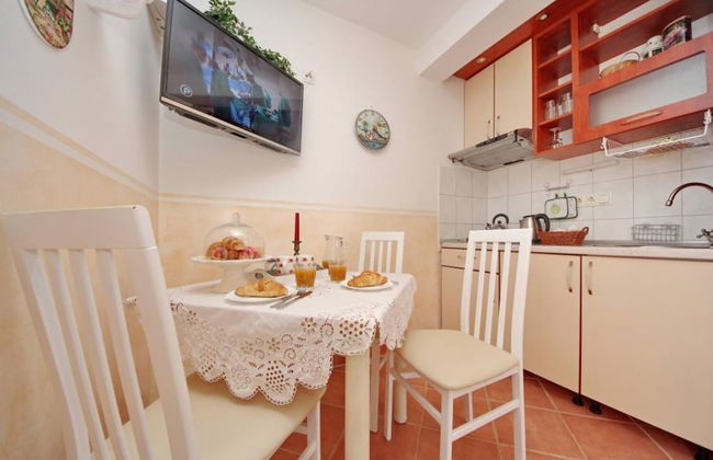 Dino - Gorgeous Garden - SA1 Zavala - Photo 7