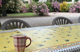 Farm House, 10 min d'Avignon - Photo 23