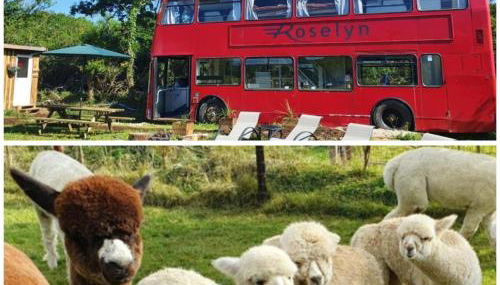 Double Decker Bus on an Alpaca Farm Sleeps 8 - Foto 2